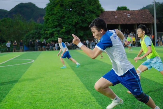 职业生涯中